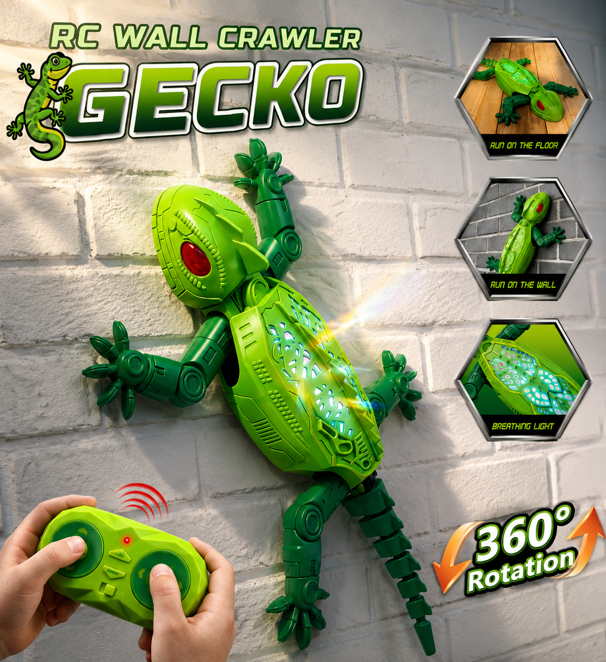 Wall Climbing Lizard
